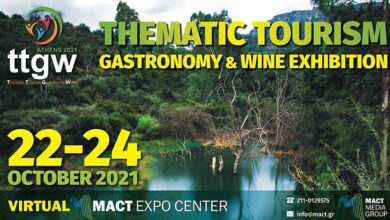 gastronomy-wine